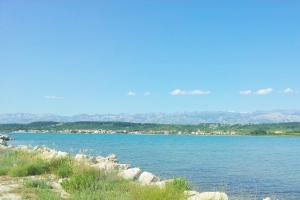 04.jpg